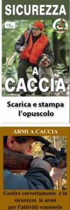 Sicurezza a Caccia